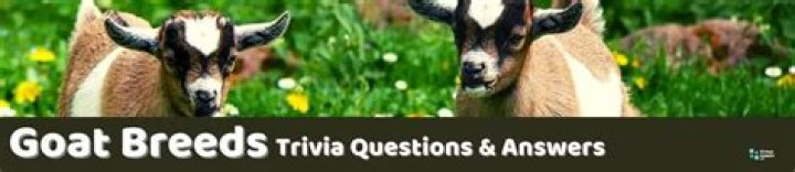 33 Goat Trivia Questions and Answers