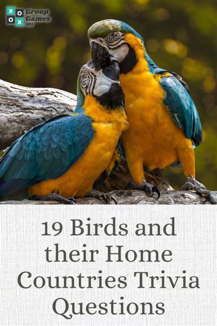 73 Interesting Bird Trivia Questions and Answers