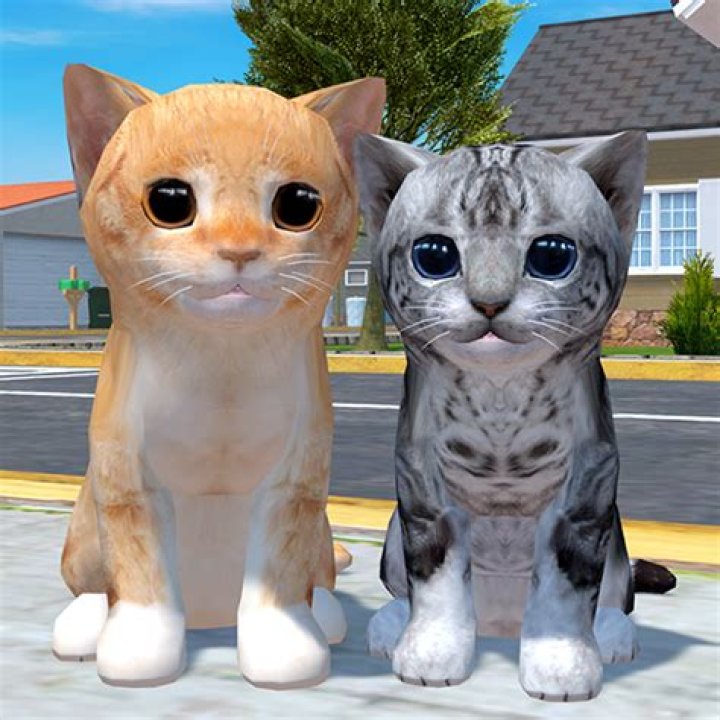 Add your hints, guides and videos for Kitten Cat Simulator 3D