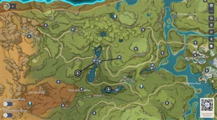 All 68 Kalpalata Flower Locations In Genshin Impact For Nahida & Dori