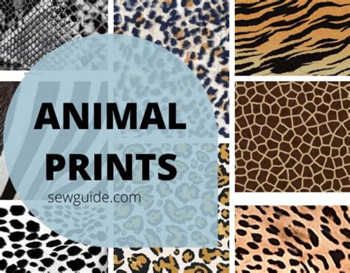 Animal Prints Used In Fashion: Milk source Word Hike – Answers