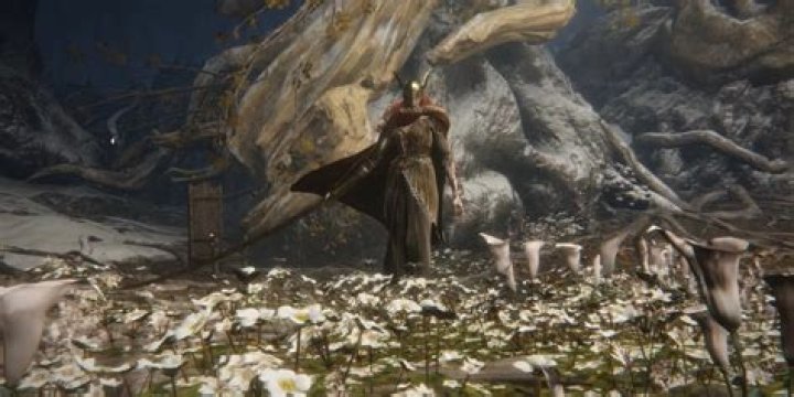 Are Runes Important In Elden Ring?