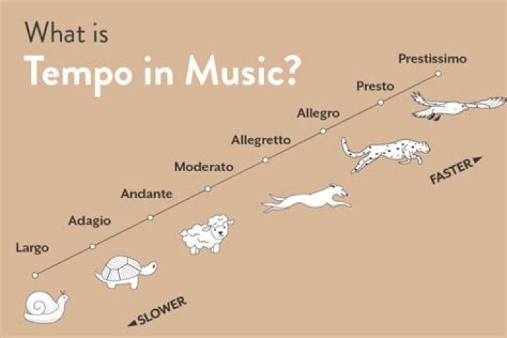 Brisk and lively tempo in music Acrostics Answer