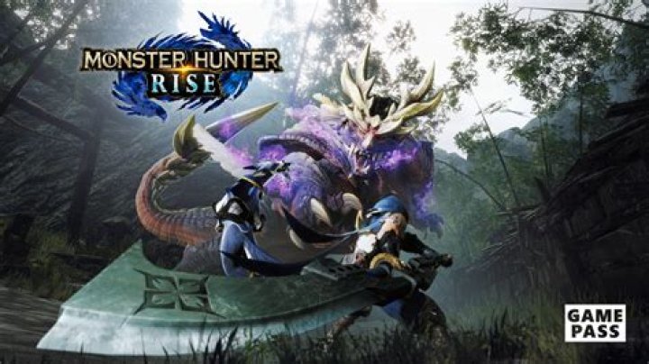 Can Monster Hunter Rise be played solo?