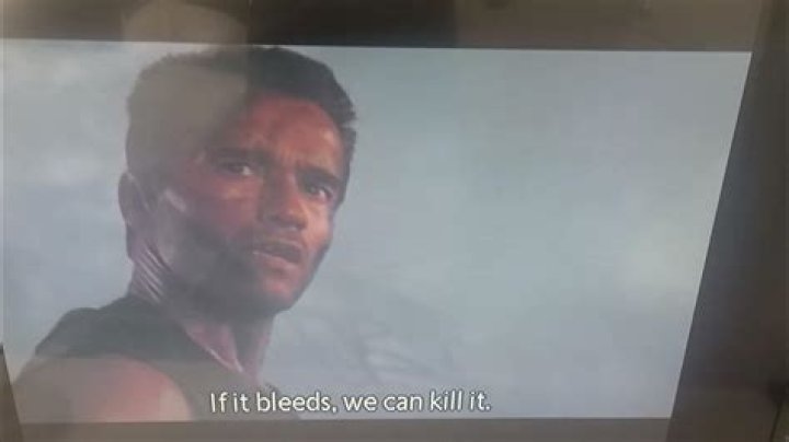 Episode 11 (Final Boss): "If It Bleeds We Can Kill It"