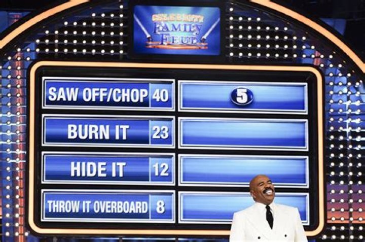 
Fun Feud Trivia: Name Someone Who Wears White Clothes