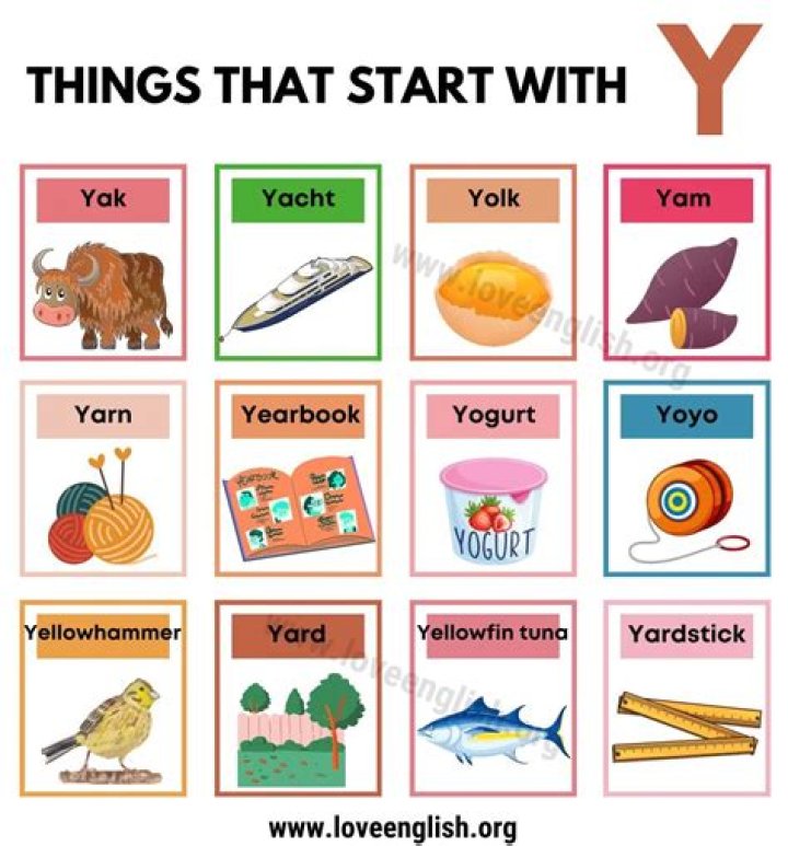 Games Starting With The Letter "Y"