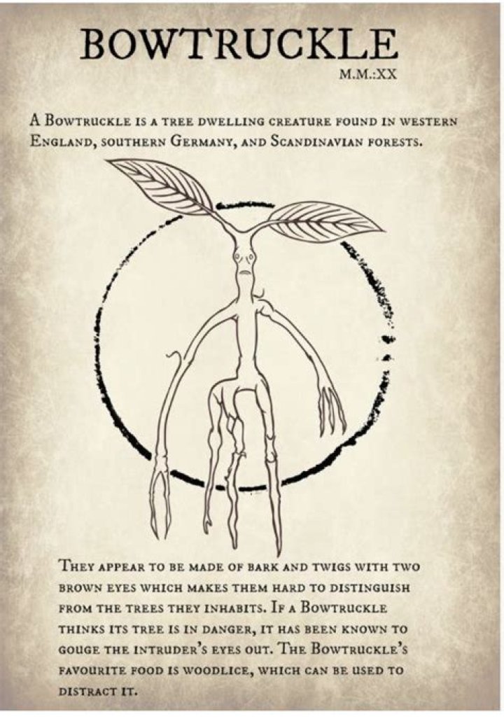 Harry Potter: Hogwarts .. - Bowtruckles are especially fond of what ..