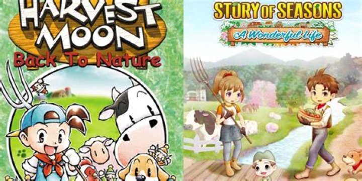 Harvest Moon / Story of Seasons series