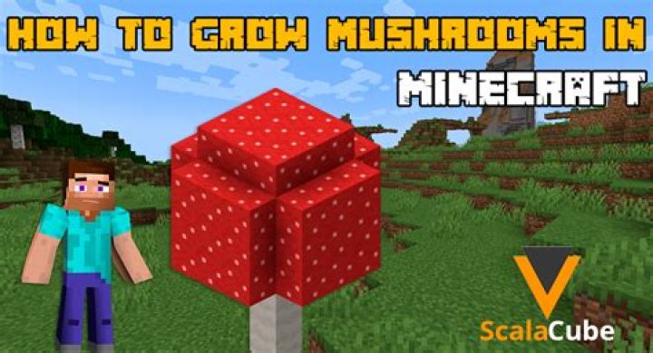 How To Grow Mushrooms In Minecraft & Guide To Their Recipes