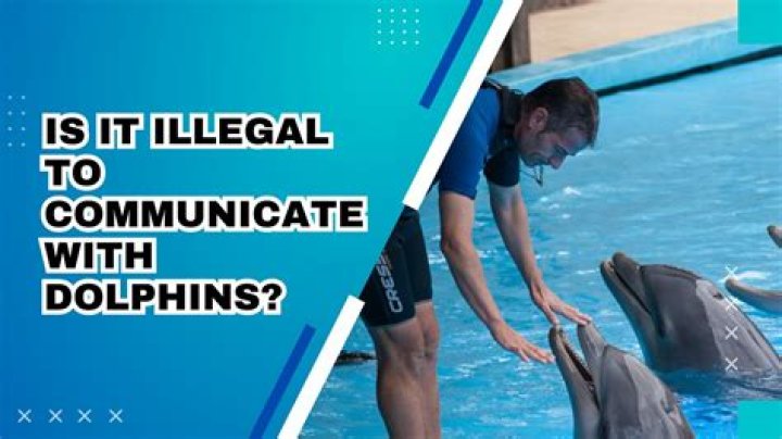 Is it illegal to pass a copy of a CD to a friend?