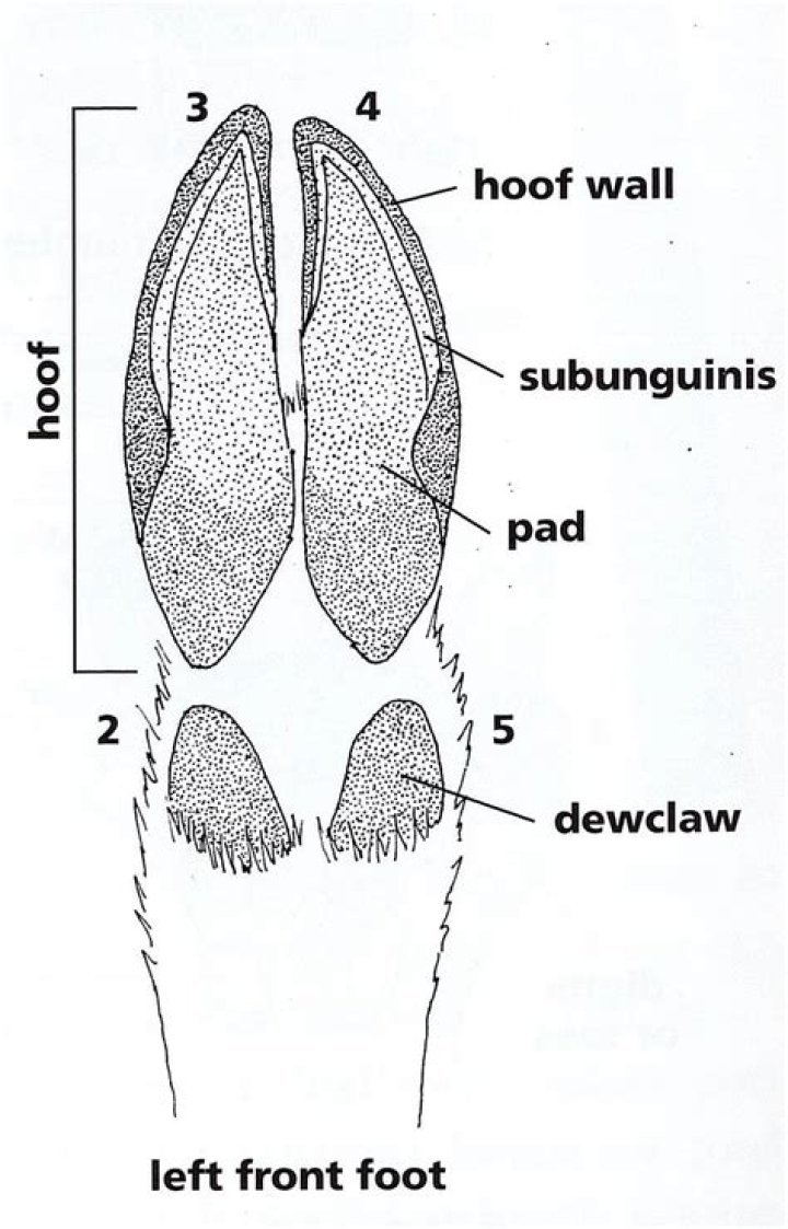 Lexi T'Perro: Bottom of a Bottle, Mass Effect: Andromeda Mission
