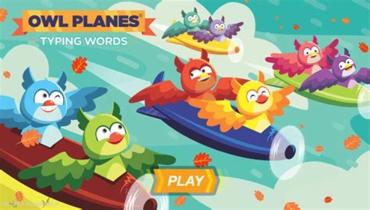 Owl Planes Typing