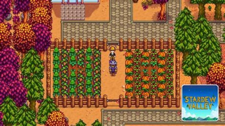 Stardew Valley – Best Crops for Making Wine