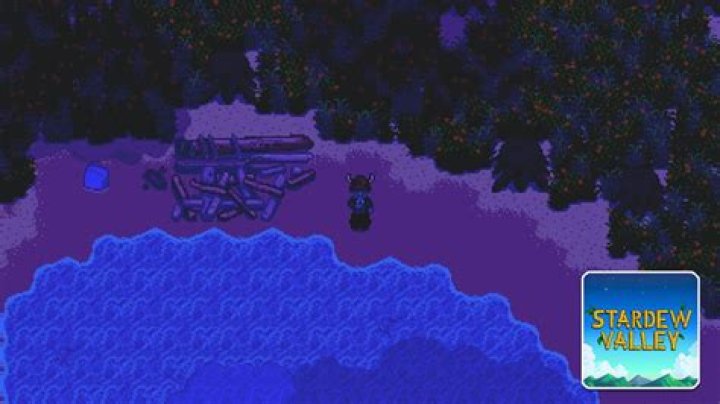 Stardew Valley – What Happens When You Pass Out: Can You Die?