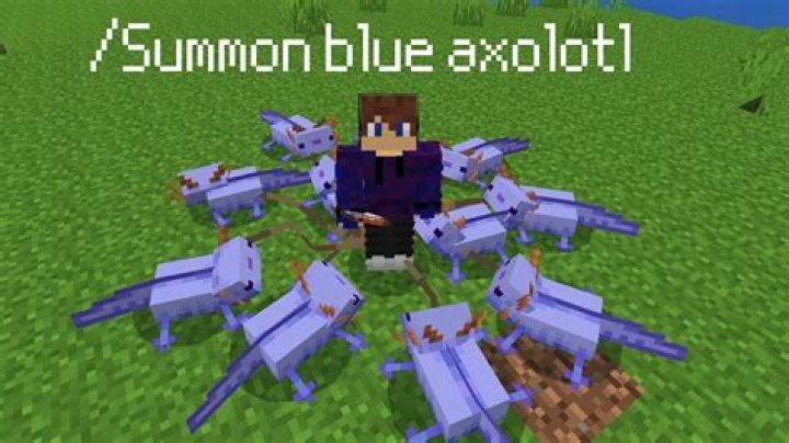 Summon Axolotl Generator, Minecraft : Gamer Geeks