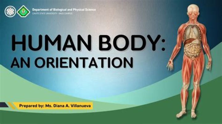 The Human Body-- An Orientation — Playlist