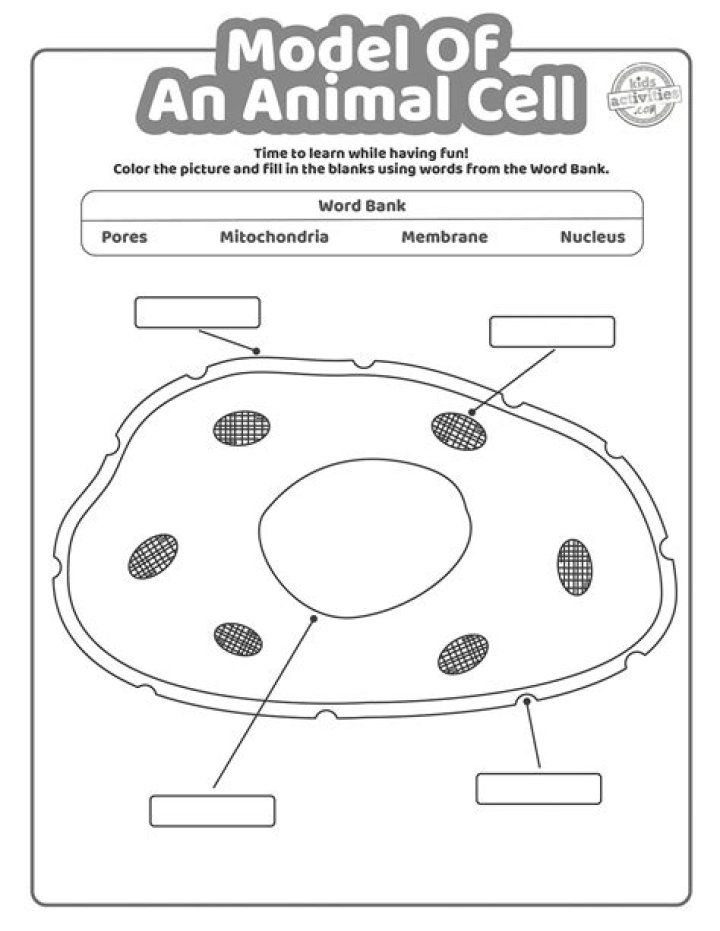 This animal cell needs labelling! Quiz