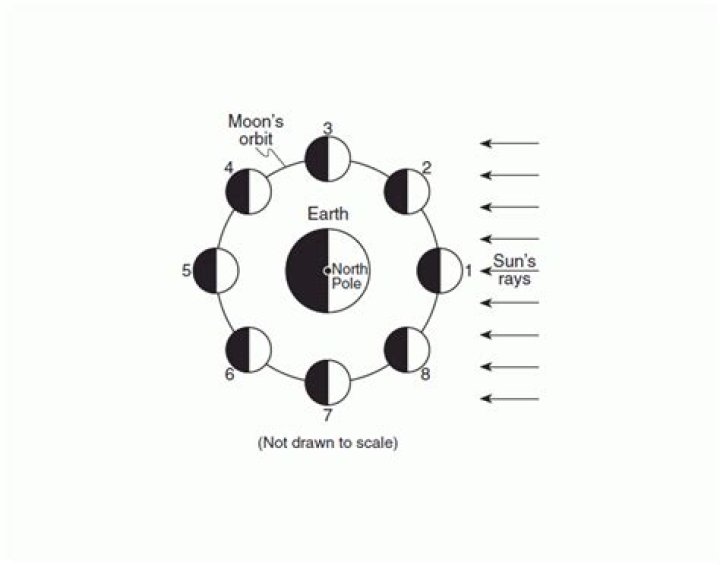 Tides, Moon Phases, Eclipses 2 Quiz
