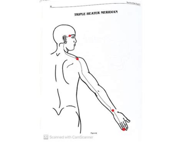 Triple Heater Meridian Points Quiz