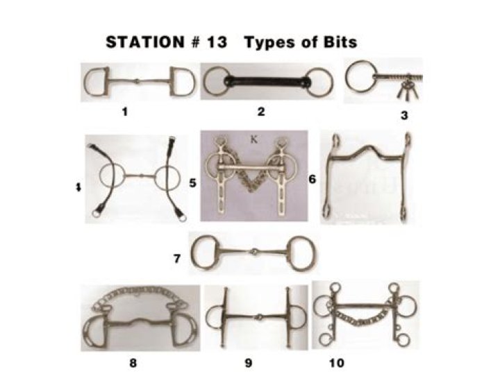 Types of Bits Quiz