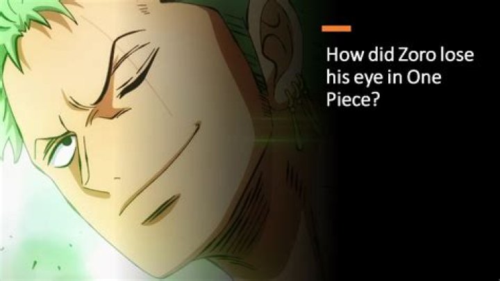 Who did Zoro fight as a kid?