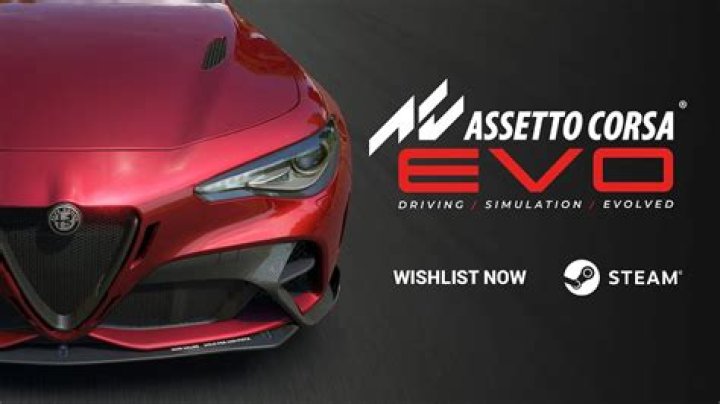 Why is Assetto Corsa Black and White?