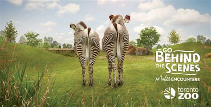 Zoo Guardians – Knowledge Adventure